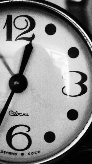 佛手瓜不能和什么一起吃截图1