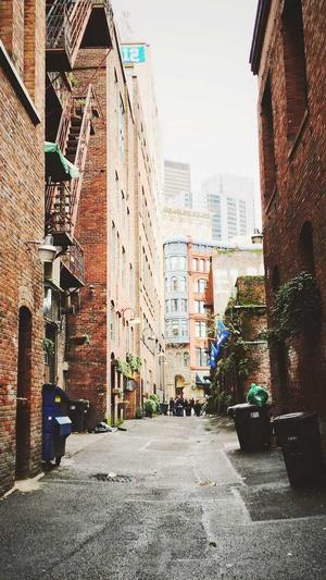 佛手瓜不能和什么一起吃截图5