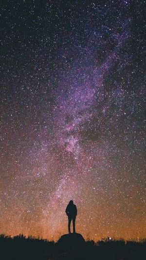 佛手瓜不能和什么一起吃截图2